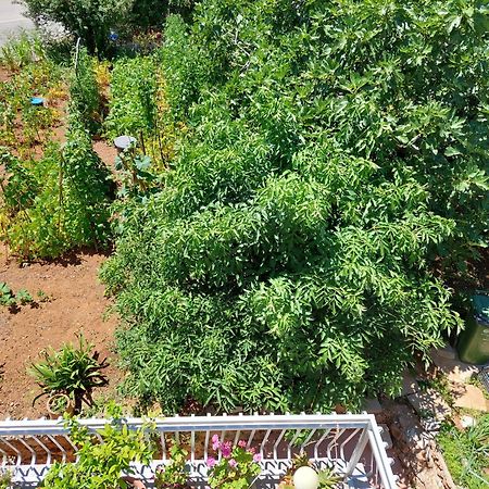 Apartmani Toni Vodice Exterior foto
